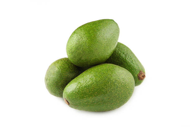 Fuerte Avocado