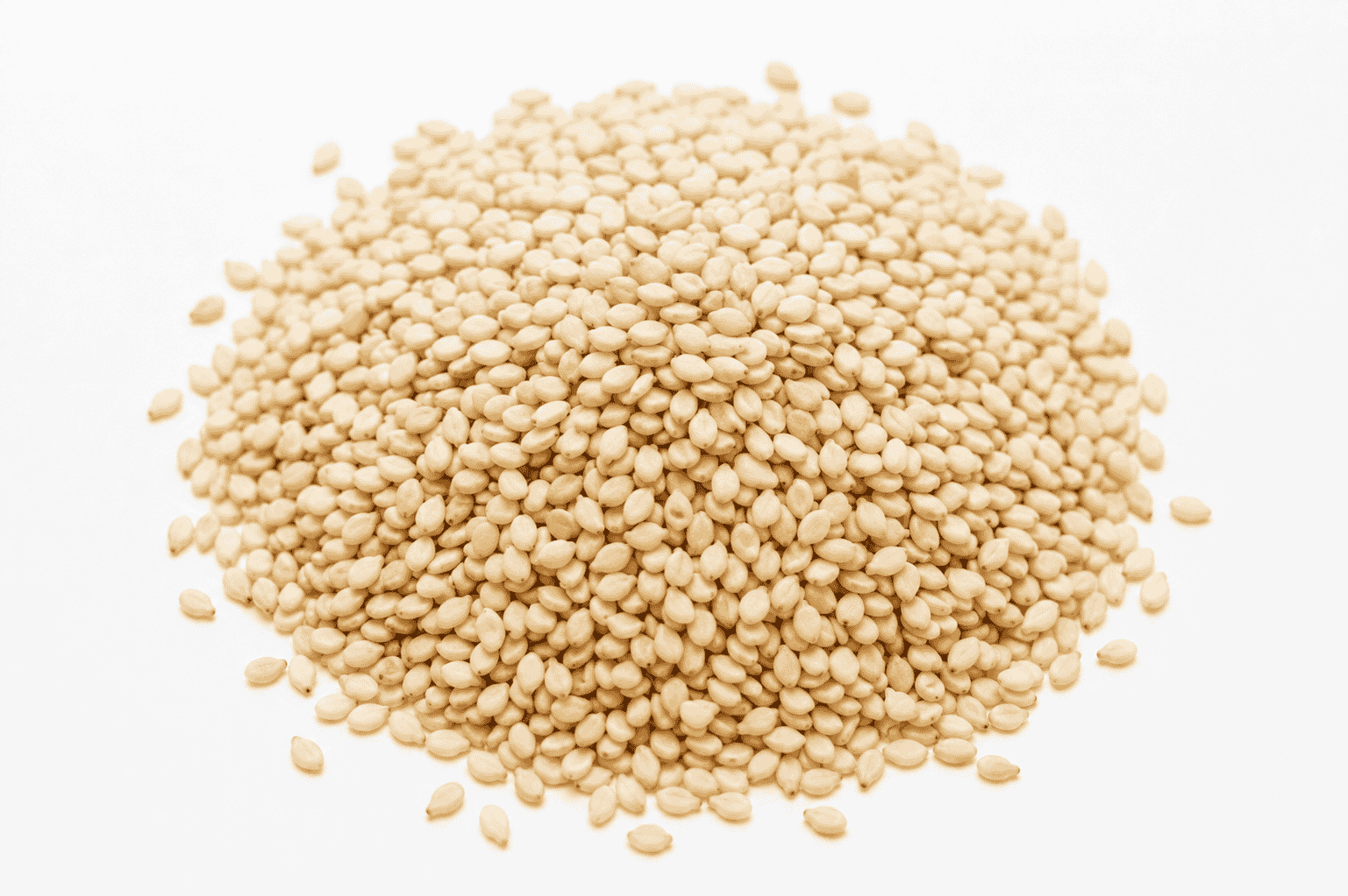 Sesame Seeds
