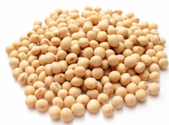 Soya Beans